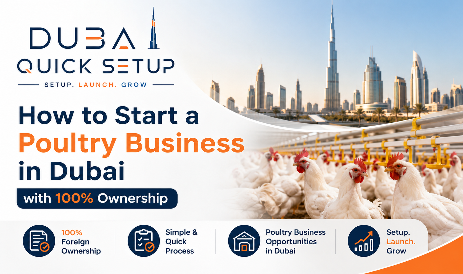 Poultry Business in Dubai